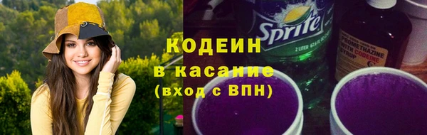 индика Пересвет