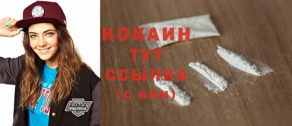 индика Пересвет