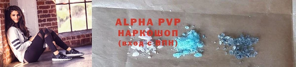 индика Пересвет