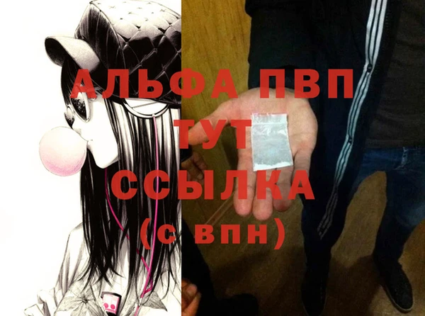 индика Пересвет