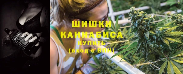 ПСИЛОЦИБИНОВЫЕ ГРИБЫ Покровск