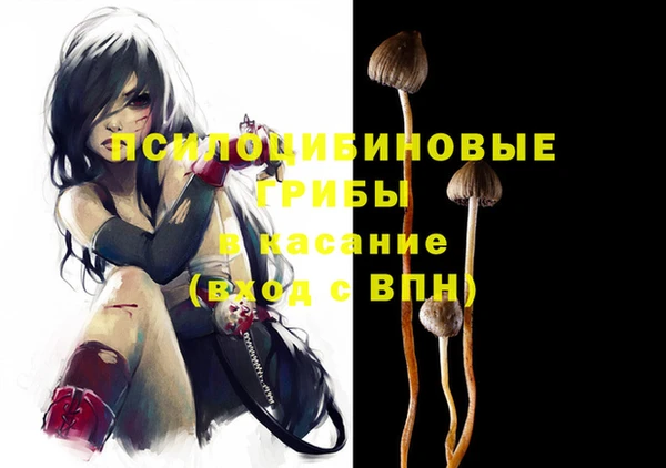 индика Пересвет