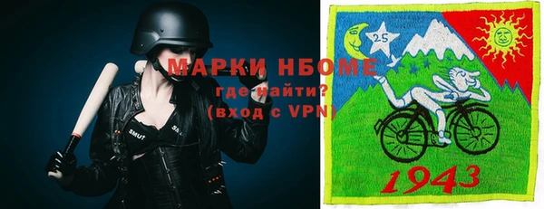 индика Пересвет