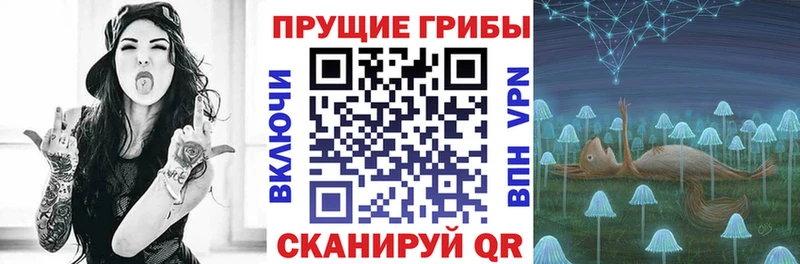 дарнет шоп  Кулебаки  Галлюциногенные грибы Psilocybe 