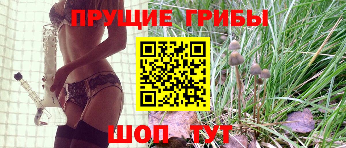 Галлюциногенные грибы Cubensis Кулебаки